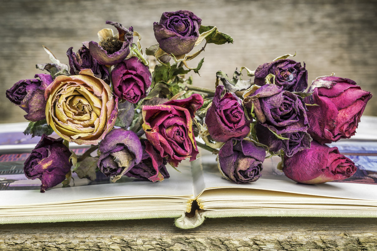 Dried Rose FAQ {How to store and use fresh dried roses} – Lizzy