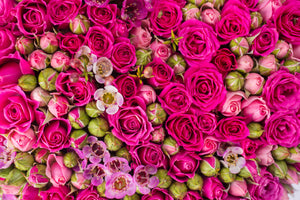 Meaning of colour in Roses!